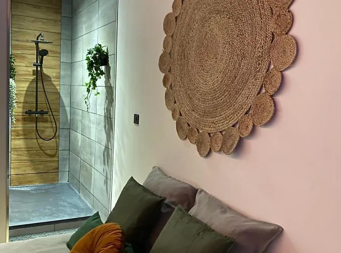 Sweet Exotique By Locations_lepuyenvelay Appartamento Brives-Charensac